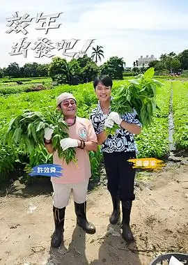 舞蹈风暴 舞蹈竞演综艺
